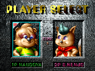 raccoon title