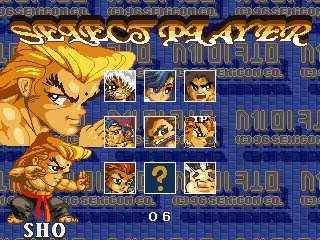 sdfight title