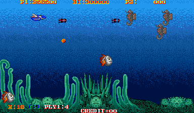 turtship screenshot