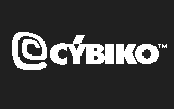 cybikov2 title