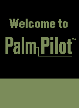 palmpro title