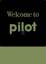 pilot1k title